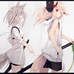 This is a pixiv picture whose title is kemomimi.