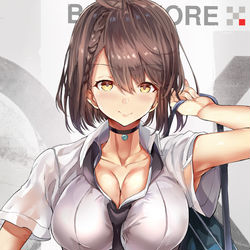 This is a pixiv picture whose title is ボルチモア姉ちゃん.