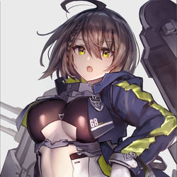 This is a pixiv picture whose title is ボルチモア.