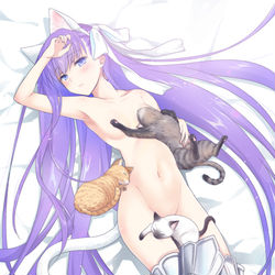 This is a pixiv picture whose title is 猫耳メルトリリス.