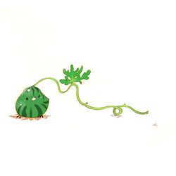 This is a pixiv picture whose title is とれたてすいか.