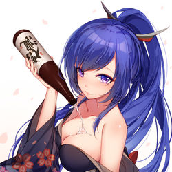 This is a pixiv picture whose title is 信濃.
