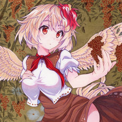 This is a pixiv picture whose title is ニワタリ神さま。.