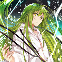 This is a pixiv picture whose title is エルキドゥ.