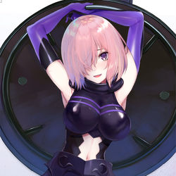 This is a pixiv picture whose title is 【C96】fetish×Servant-Collection.