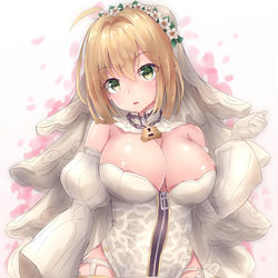 This is a pixiv picture whose title is 嫁ネロ.