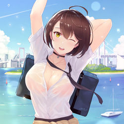 This is a pixiv picture whose title is 汗が止まらないッ！.