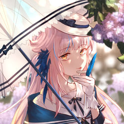 This is a pixiv picture whose title is 锡兰.