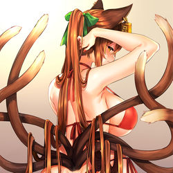 This is a pixiv picture whose title is 水着八雲橙.