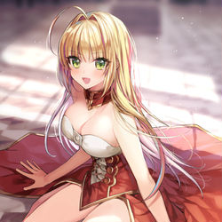 This is a pixiv picture whose title is ネロ.