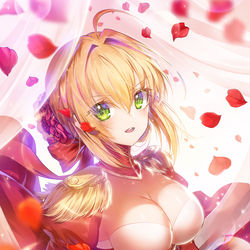 This is a pixiv picture whose title is ネロ・クラウディウス.