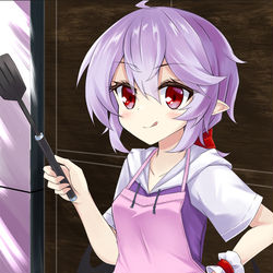 This is a pixiv picture whose title is エプロンレミリア.