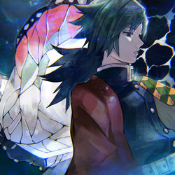 This is a pixiv picture whose title is 蟲柱　胡蝶しのぶ/水柱　冨岡義勇.