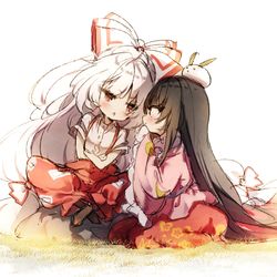 This is a pixiv picture whose title is てるもこ.