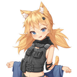 This is a pixiv picture whose title is idw.