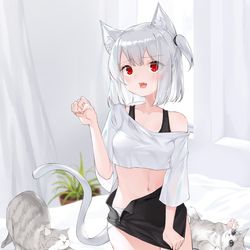 This is a pixiv picture whose title is Nyan.