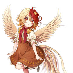 This is a pixiv picture whose title is コケーーーーーーーーーーーーーーーーーーー.
