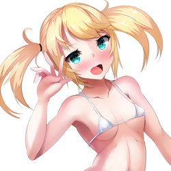 This is a pixiv picture whose title is 水着シエラちゃん.