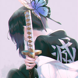 This is a pixiv picture whose title is 蝶.