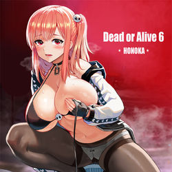 This is a pixiv picture whose title is DOA6 Honoka commission.