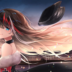 This is a pixiv picture whose title is ドイッチュラント姉さん.