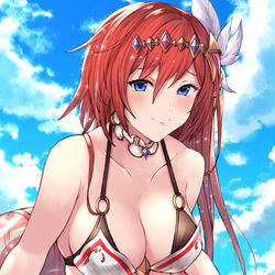 This is a pixiv picture whose title is 浮き輪ブローディア.