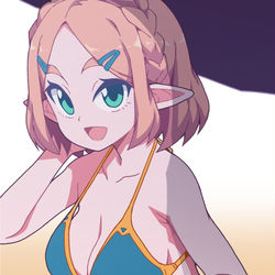 This is a pixiv picture whose title is 水着ゼルダ.