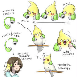 This is a pixiv picture whose title is 音楽を流してくれるオカメインコ.