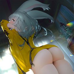 This is a pixiv picture whose title is ヴィエラ①.