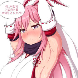 This is a pixiv picture whose title is 脇ペロ.