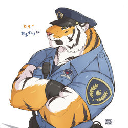 This is a pixiv picture whose title is 虎のおまわりさん.