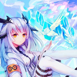 This is a pixiv picture whose title is 白面鸮.