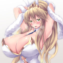 This is a pixiv picture whose title is 水着獅子王.