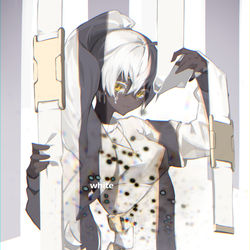 This is a pixiv picture whose title is white.