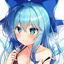 This is a pixiv picture whose title is 大人チルノちゃん.
