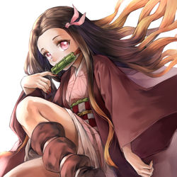 This is a pixiv picture whose title is ねずこ　.