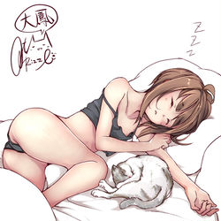 This is a pixiv picture whose title is 大鳳さんが寝てます.