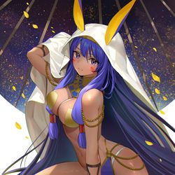 This is a pixiv picture whose title is ニトクリス.