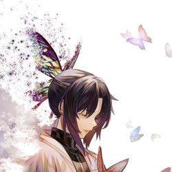 This is a pixiv picture whose title is 胡蝶しのぶ.