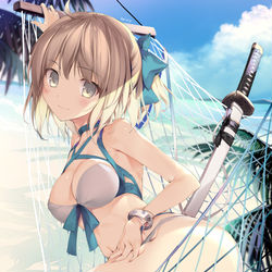 This is a pixiv picture whose title is 水着沖田さんと浜辺にて.