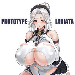 This is a pixiv picture whose title is Last_Origin LABIATA.