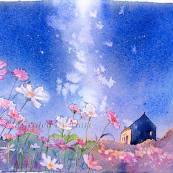 This is a pixiv picture whose title is コスモス畑と宇宙(そら).