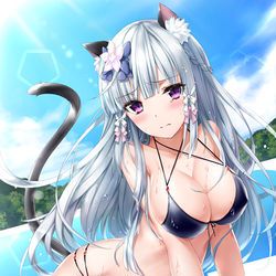 This is a pixiv picture whose title is 泳げなかったねこさん.