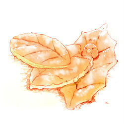 This is a pixiv picture whose title is リーフパイ.