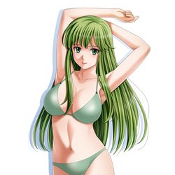 This is a pixiv picture whose title is パオラ＠ファイアーエムブレム◆◆◆◆.