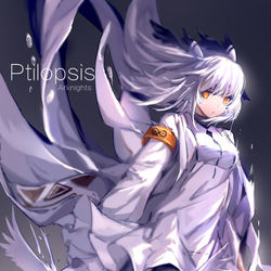 This is a pixiv picture whose title is Ptilopsis.