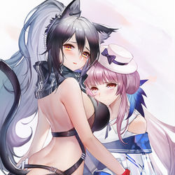 This is a pixiv picture whose title is 锡兰X黑.