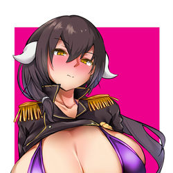 This is a pixiv picture whose title is 三笠.
