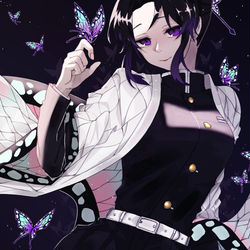 This is a pixiv picture whose title is 胡蝶しのぶ.