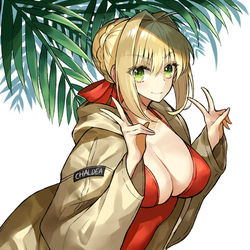This is a pixiv picture whose title is 水着ネロ.